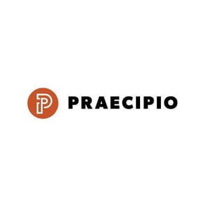 Praecipio Revyz Partner